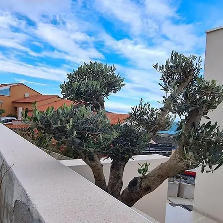 De Soleil A Cerbere,