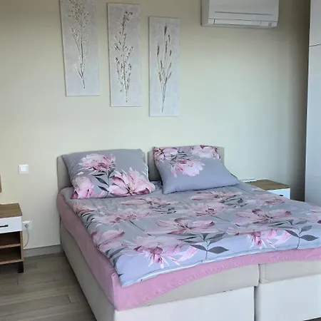 De Soleil A Cerbere, Villa