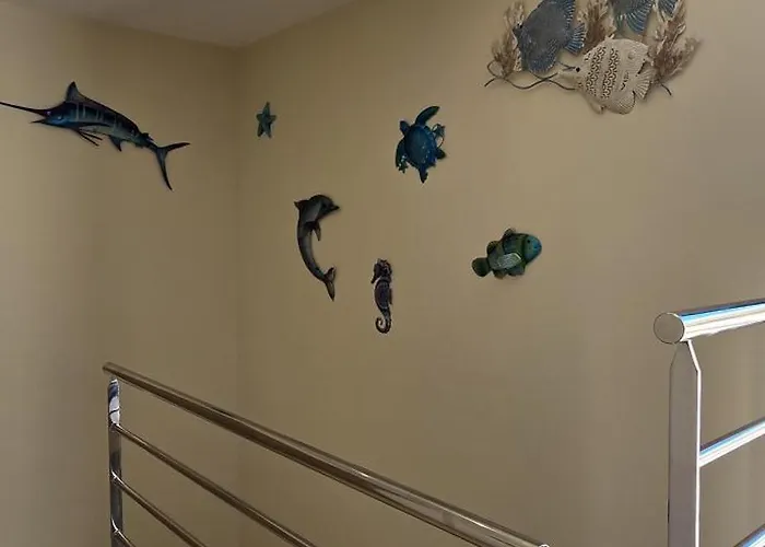 De Soleil A Cerbere,