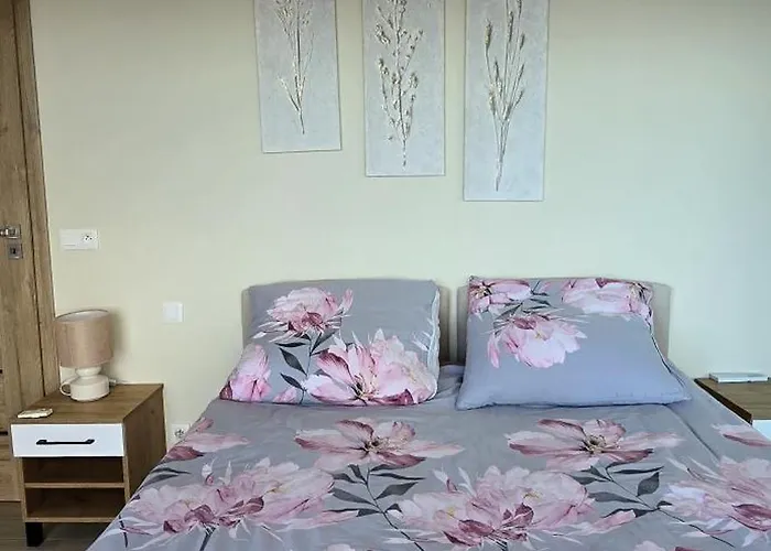 De Soleil A Cerbere, Cerbère