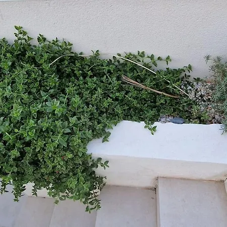 De Soleil A Cerbere, וילה