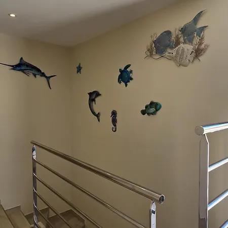 De Soleil à Cerbère,